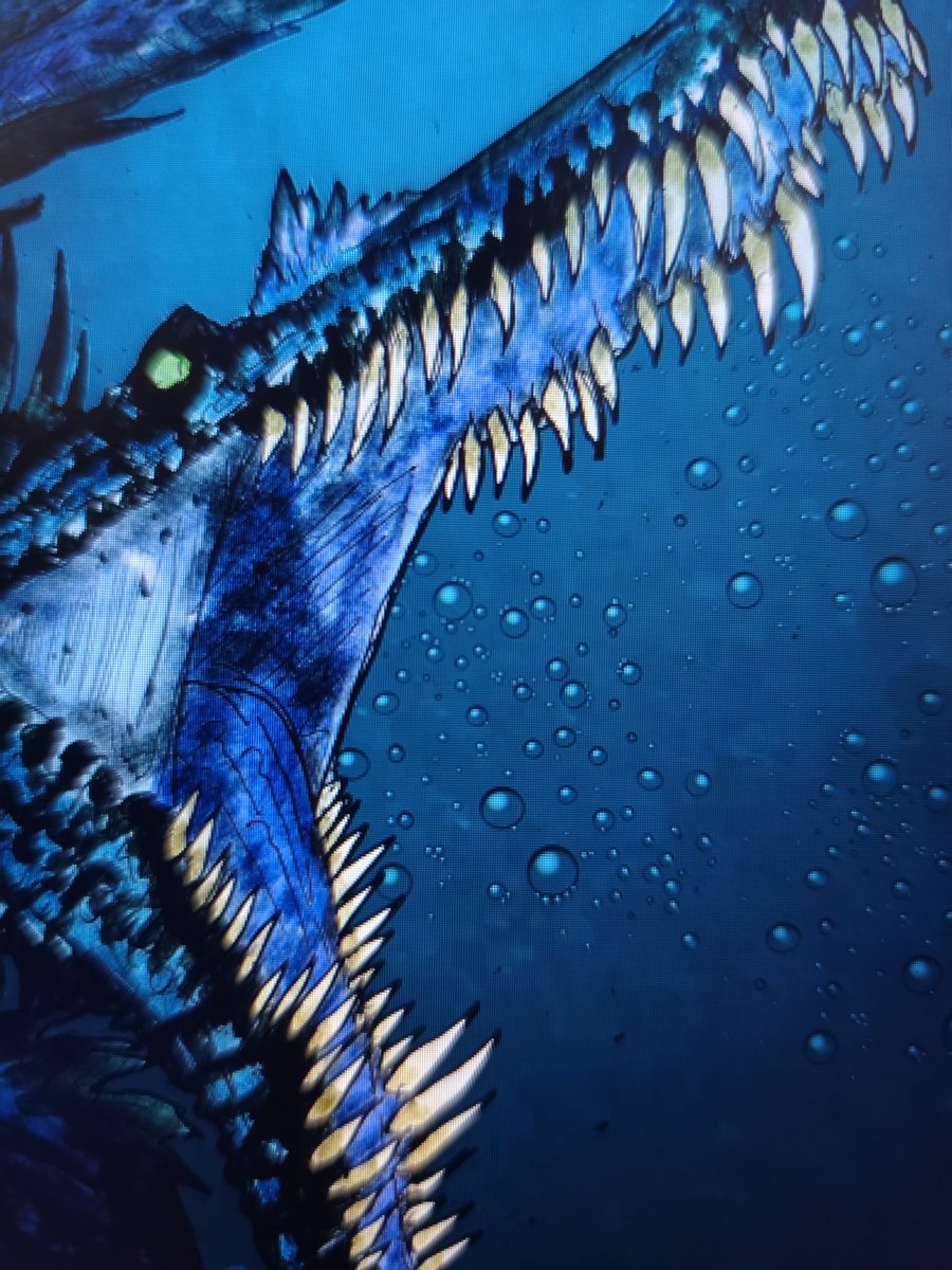 YMelcus's tweet image. Big 3 is here !!

The final result is in my Instagram profil : streg_scythe

#Tyrannosaurus #Spinosaurus #Giganotosaurus