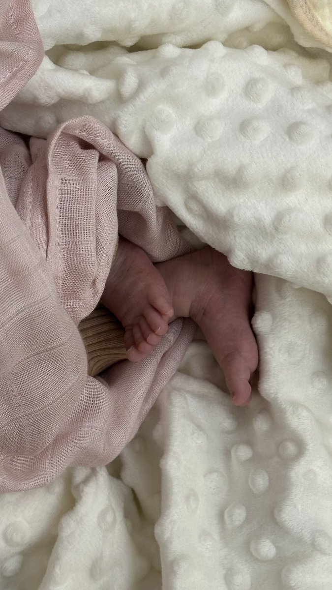 xo7i9's tweet photo. فراولة 💗🎀 🤏🏻. https://t.co/ZPZtTEDggg