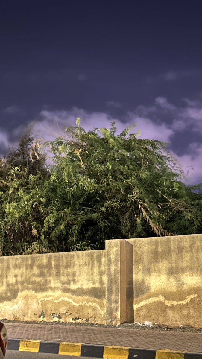 lbvc3's tweet image. وَلسَوف يَفتَحُها الإلَه فَ أيقنُوا 
مَا كَان صَعبًا بالَّتوكُّل يَسهُل