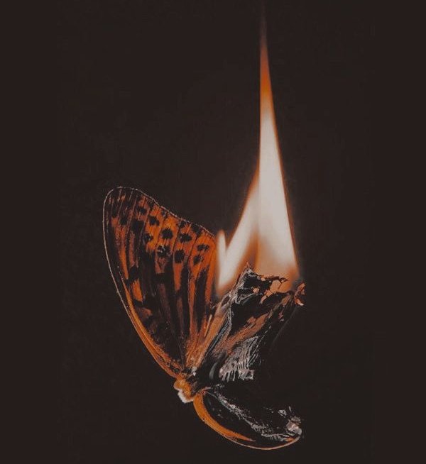 वो परेशान है मेरे जलने से...

उसकी आँखों में धुआँ पड़ता है।
~फैसल अज़मी