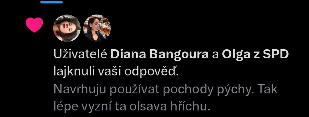 Spojuji lidi. Věřím v jednotu SPD a TOP09.