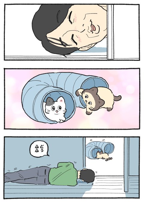 ねこに転生したおじさん。その787 | やじま@ねこおじ6巻発売中 さんの