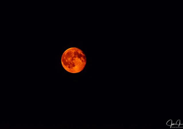 PhotographyJeni's tweet image. Blood Full Moon Sept 8 #mooneclipse