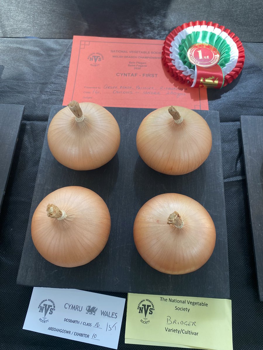 medwynsofangles's tweet photo. The Welsh Championships were held today at the st fagans museum in Cardiff with some really strong entries on a difficult year. The under 250grm onions were superb as was the tomato class. All entries would have won at any other show https://t.co/DpuyL01ie4