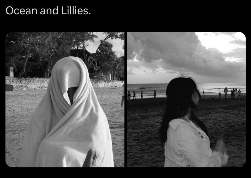 Jules Salvatore. tweet media