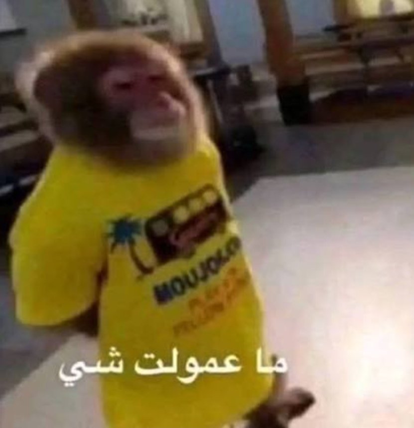 Sarah (@a9ied) on Twitter photo 