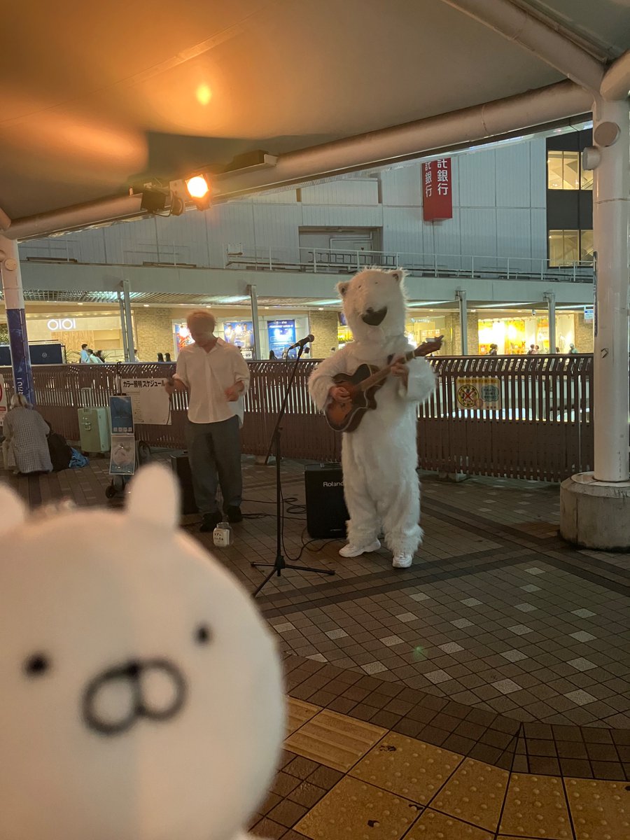 ノーマルまる捕獲記念日っ‼️
しろくまさんいたぴえ