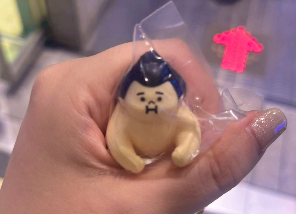 囚われたお相撲さん