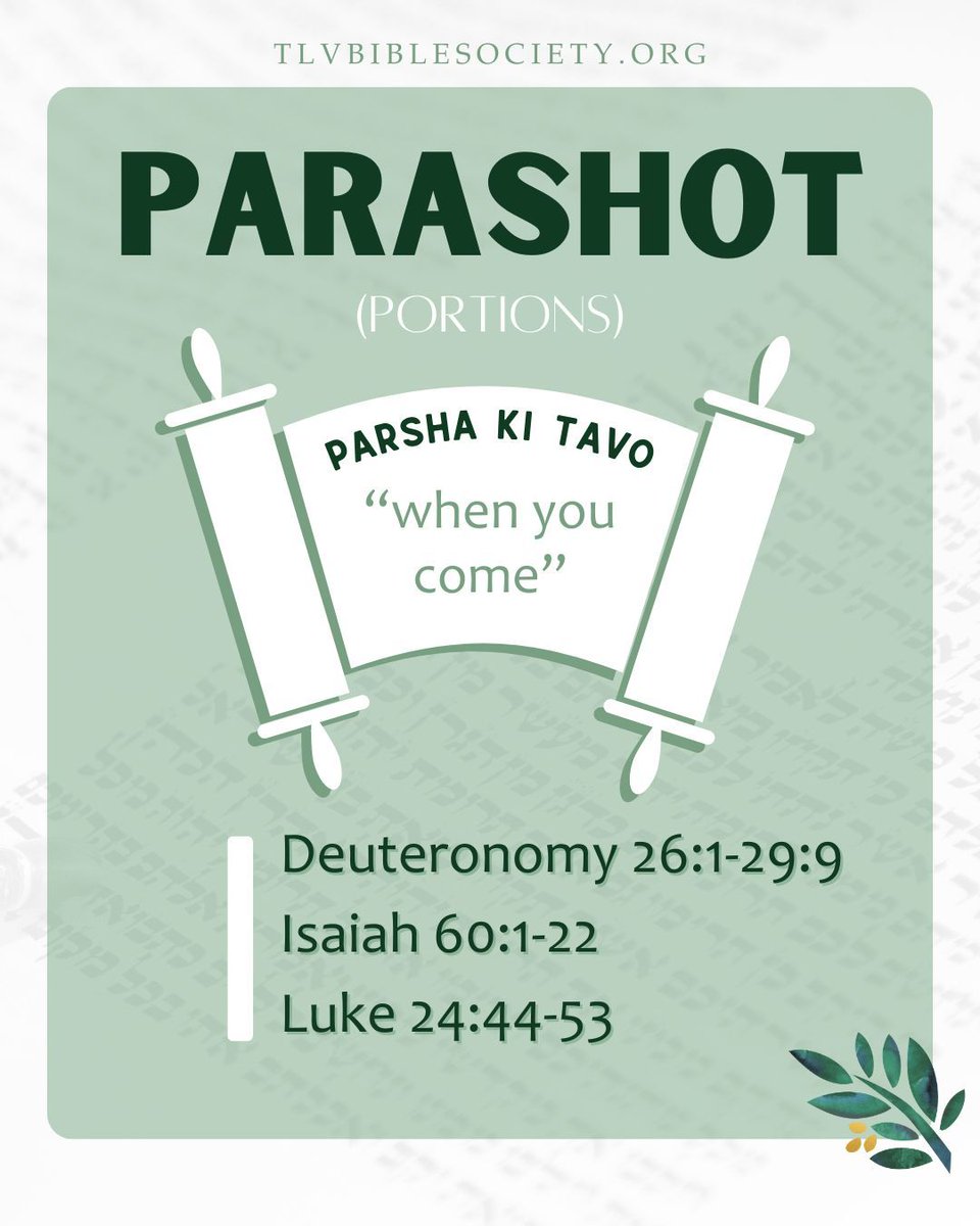 TLVBibleSociety's tweet photo. Let’s read the Bible together!!! 🫶🙌
📖Torah- Deuteronomy 26:1-29:9
📖Haftarah- Isaiah 60:1-22
📖New Covenant- Luke 24:44-53
Dive into the Parsha this week with us with the TLV Bible app!
🔗 https://t.co/0fwQfgMRiR
#parsha #parashot #bible #biblereading #weekly #torah #tlvbible https://t.co/op5Gg73Ng7
