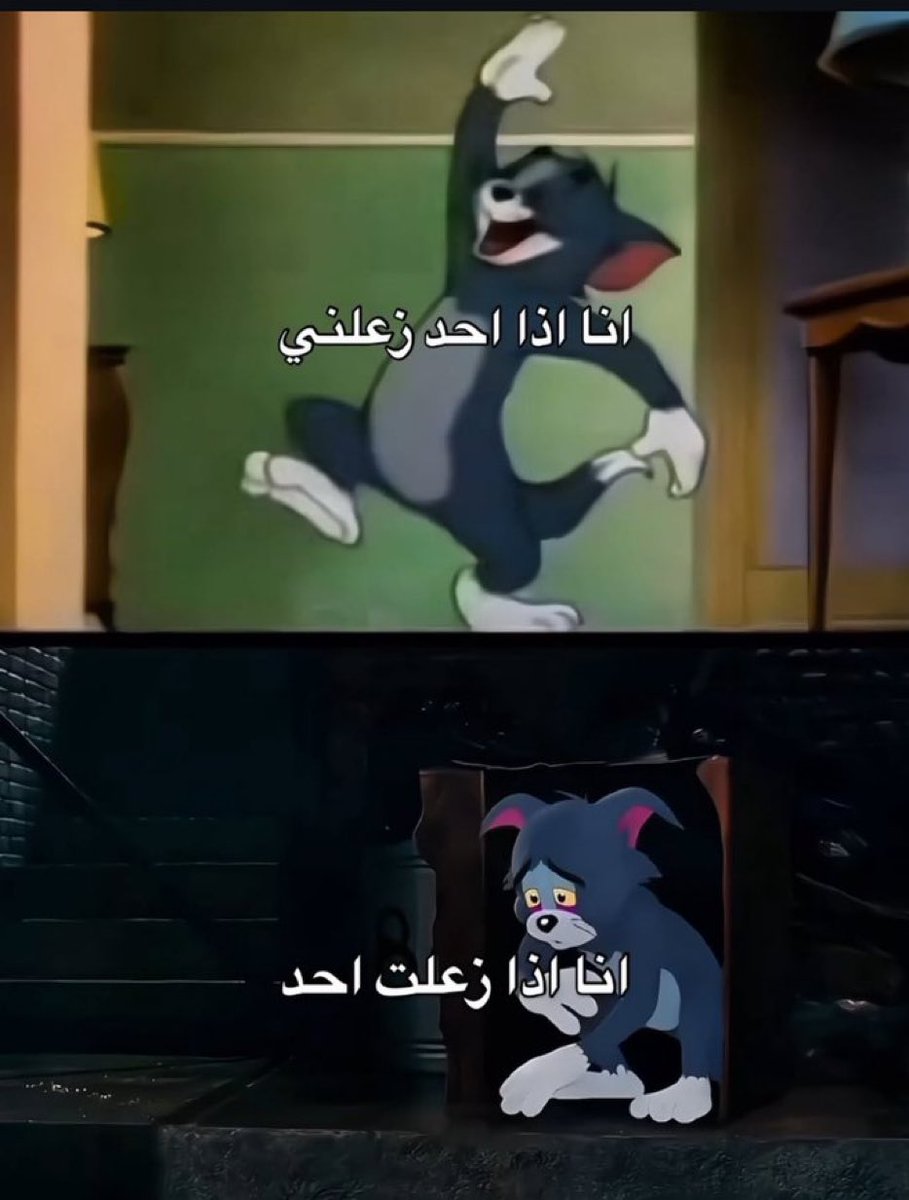 كل يوم صورة معبرة (@memesoficiial) on Twitter photo 