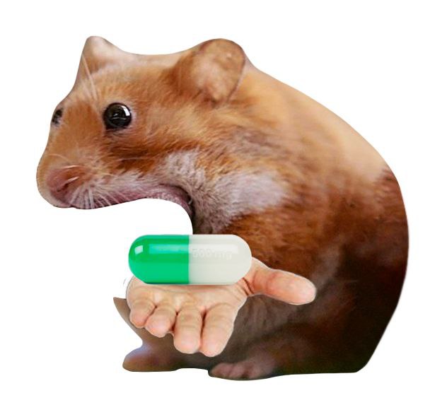 Gnom! Bullish for the coming week.
I got a tingle in my noms
$nomnom