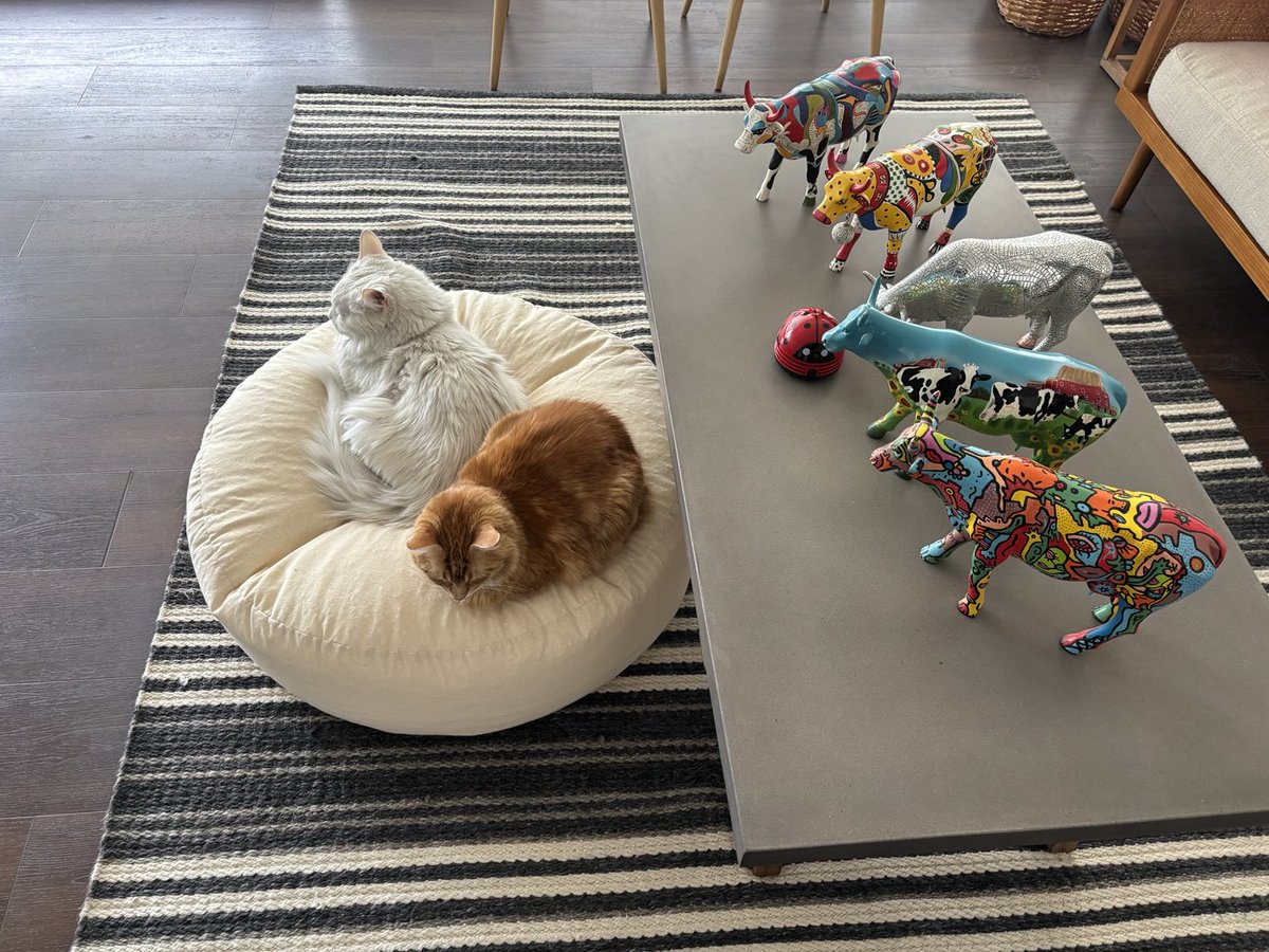 Just relaxing 😻😻😻😻😻