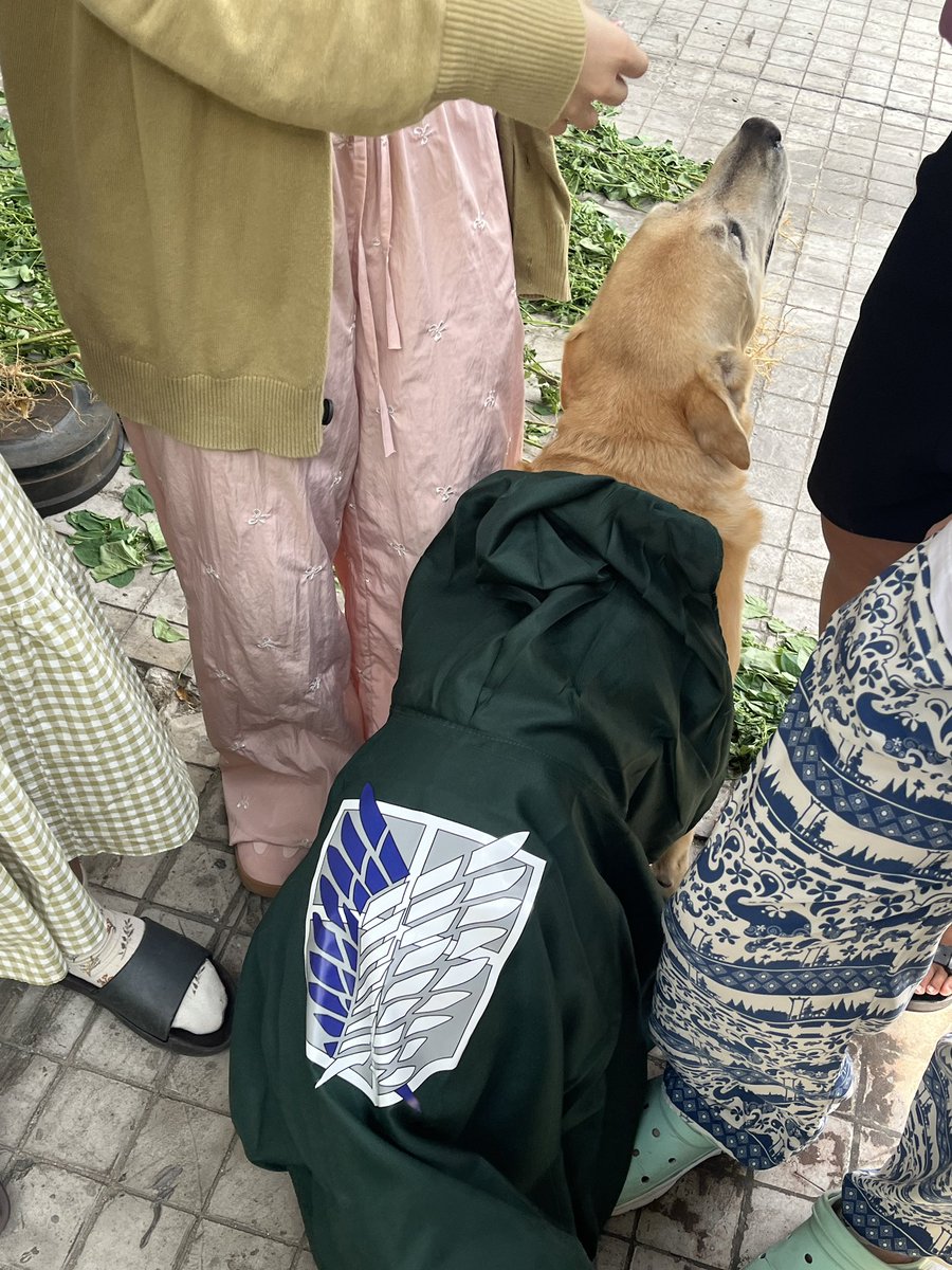 วันนี้ฉันเจอเออบิ้น สมิธ