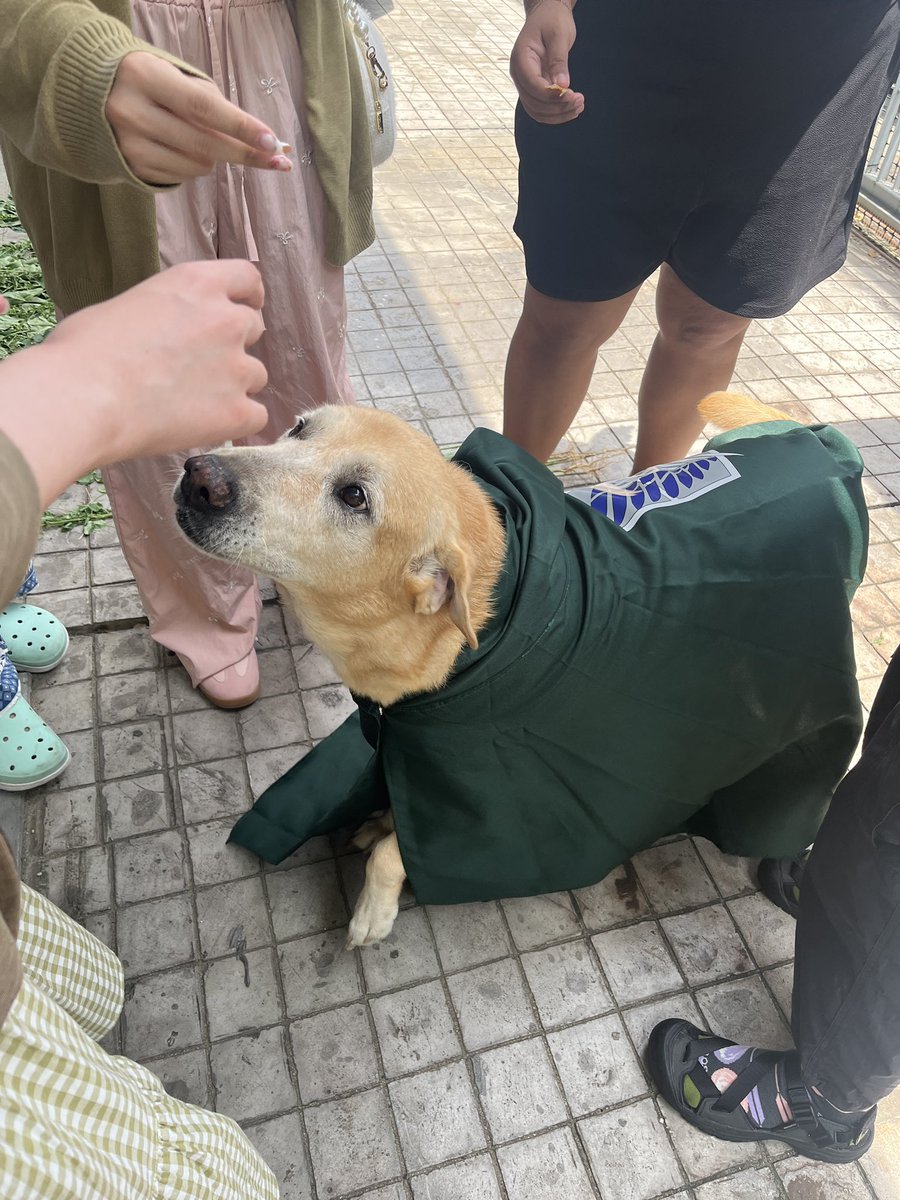 ぐるパカ🦙🌻 tweet media