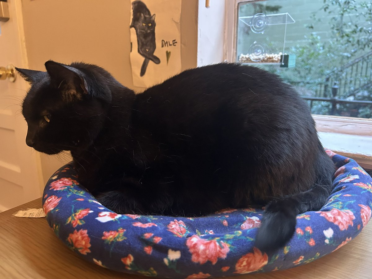 dale cooper tweet media