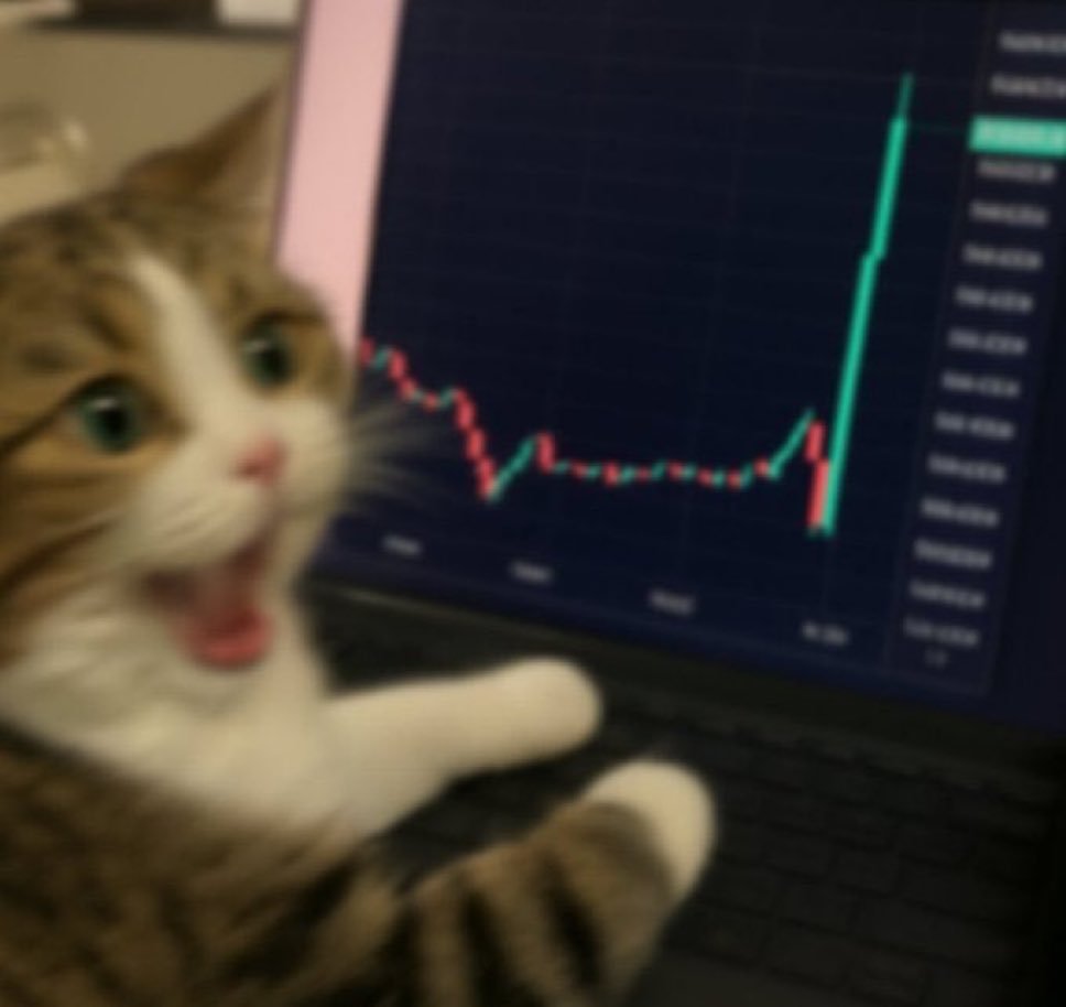 greybtc's tweet image. Crypto bros when everything is pumping