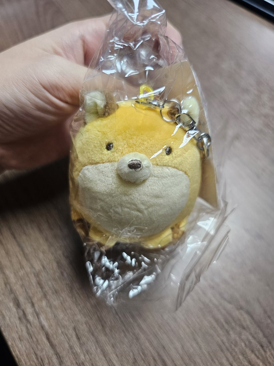 레못여우 잘 도착했어요... 너무귀여워요... 감사합니다...🥹❤️ <a href="/llpartitionll/">벽 (*˘ ⌣˘ *)</a>