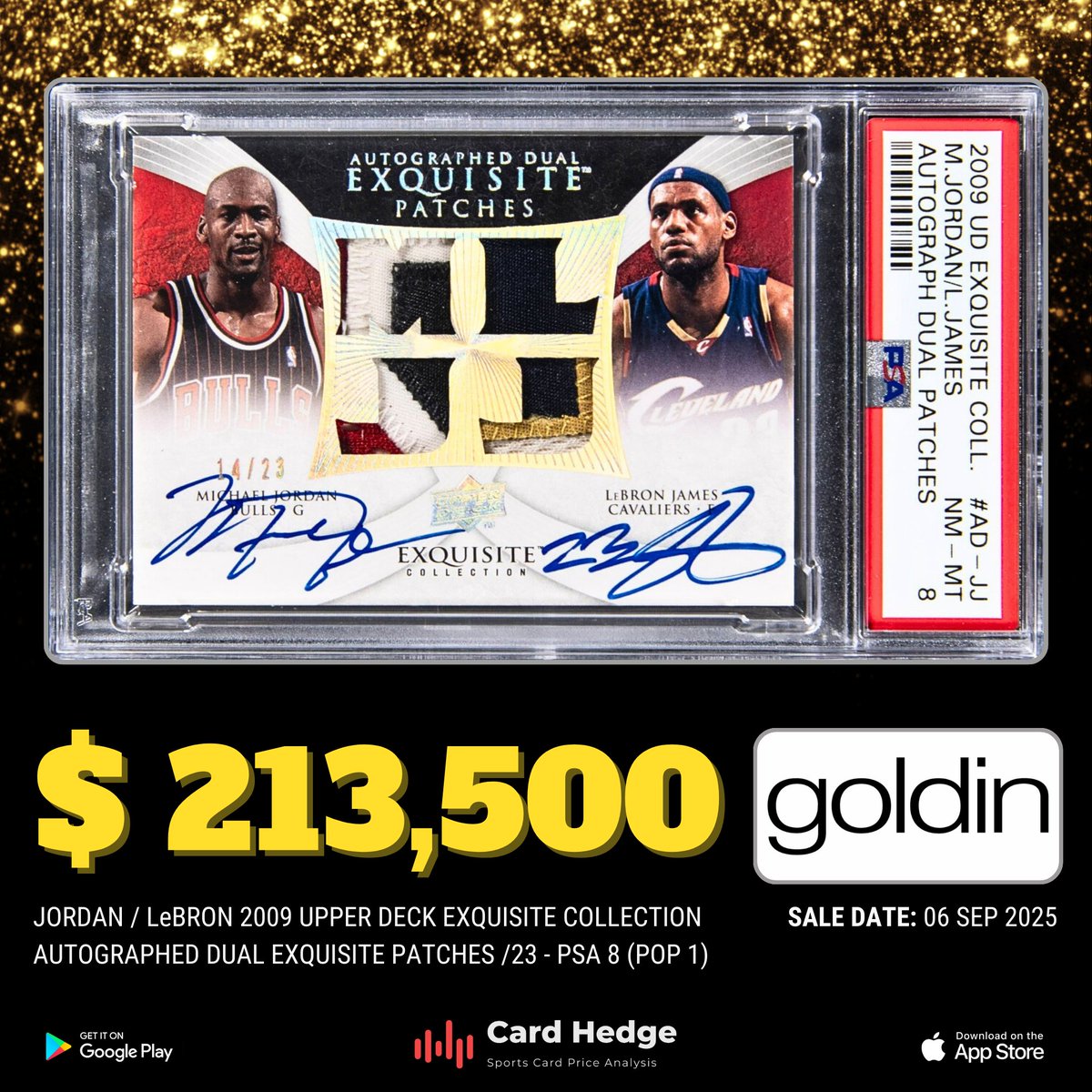 dual exquisite michael jordan lebron james