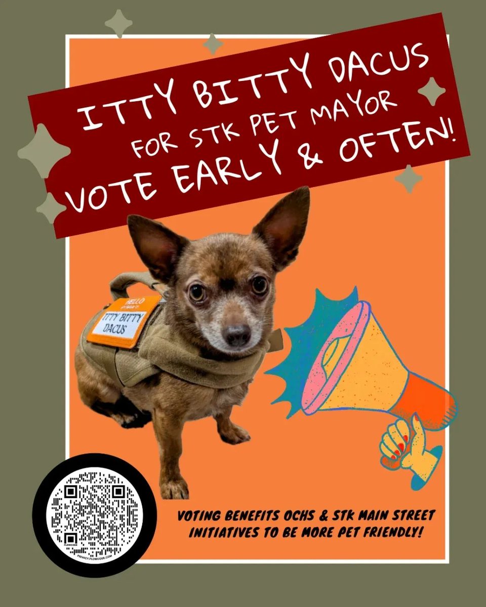 chaddacus's tweet image. Vote for Itty Bitty for @mscollegetown Pet Mayor. starkville.org/the-partnershi…