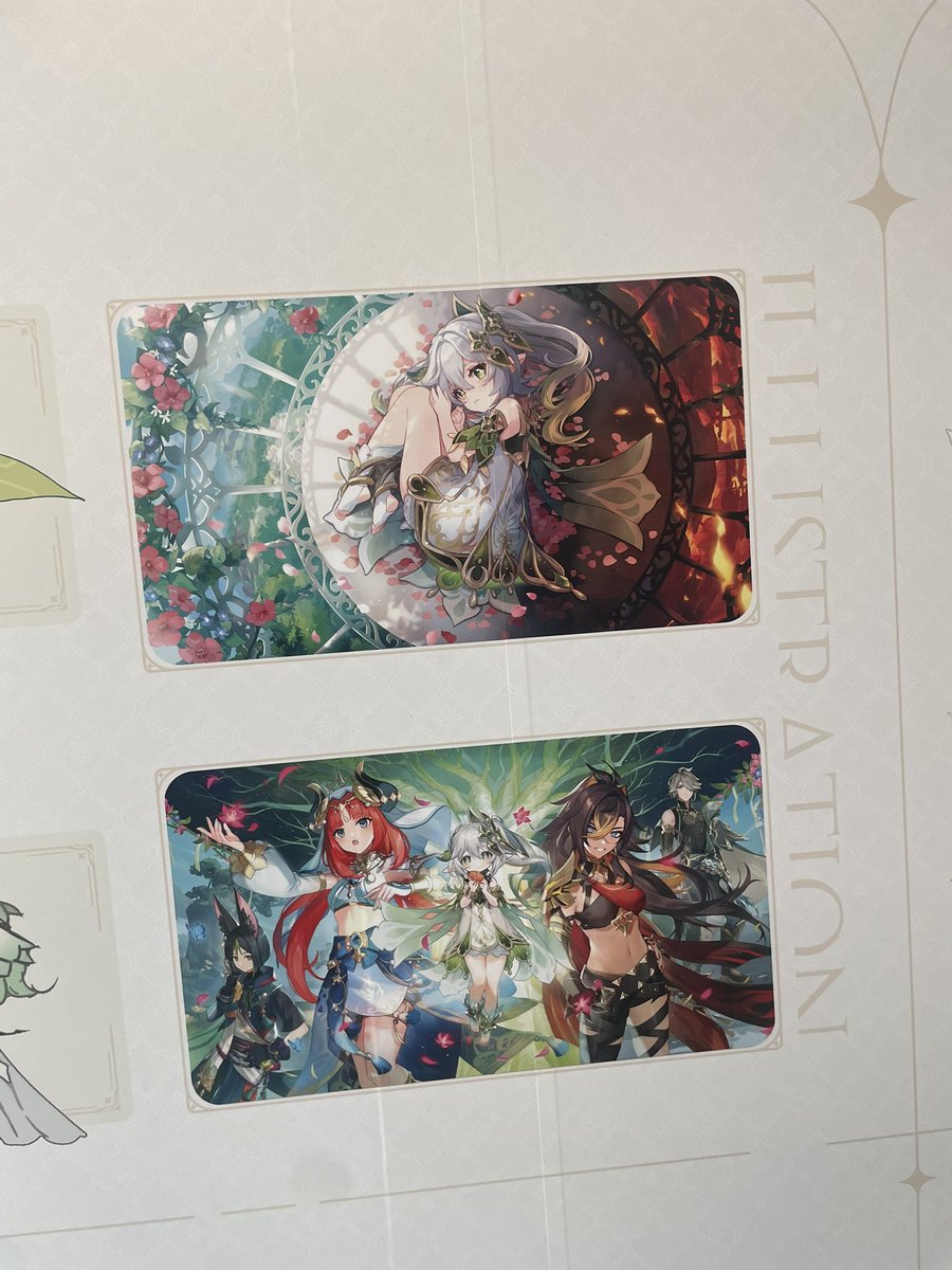 Ri ✰🪽 tweet media