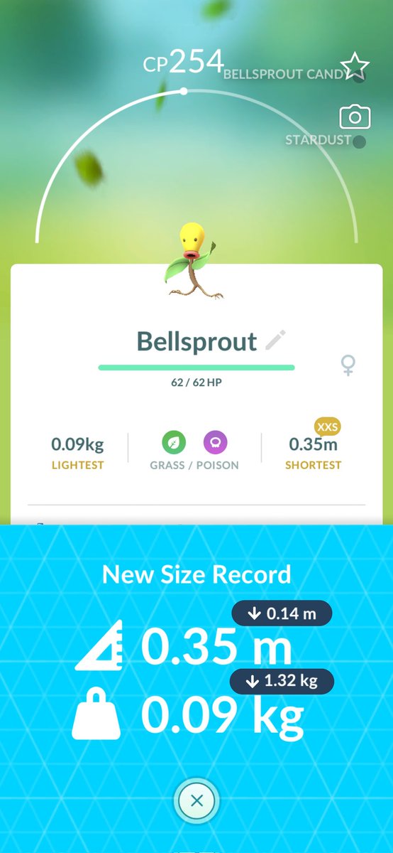 coinhunt_hound's tweet image. New size record #Bellsprout 💯🔥

#Florida #USA #PokemonGO
