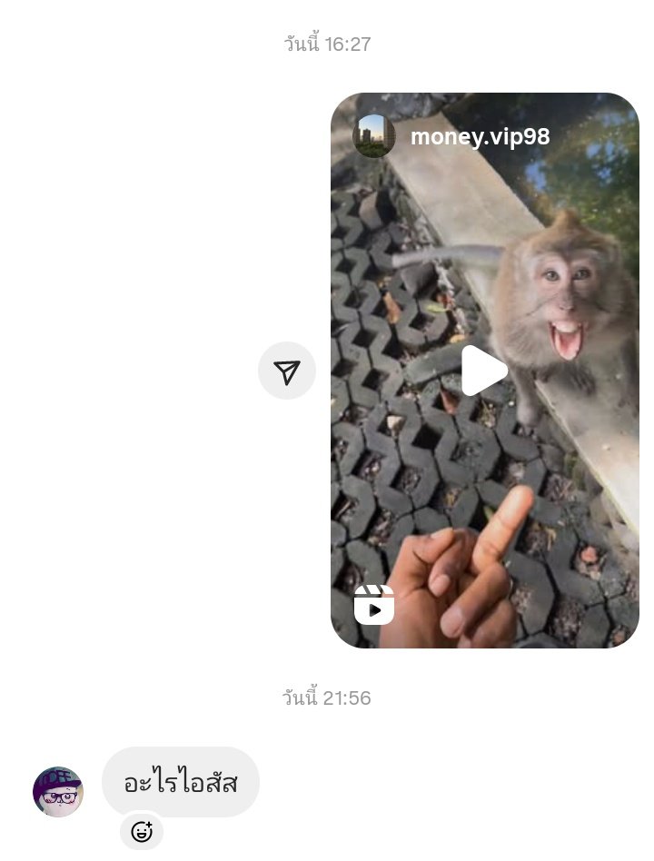 monkey gang tweet media