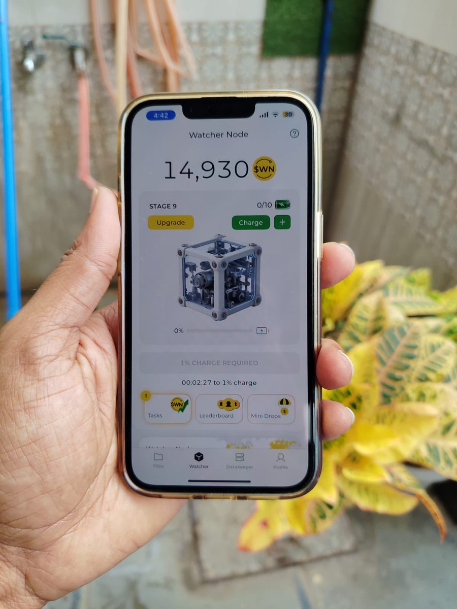 Launching watcher node to secure <a href="/DeNetPro/">DeNet</a> storage network, live from India 🇮🇳 #WatchersEverywhere.