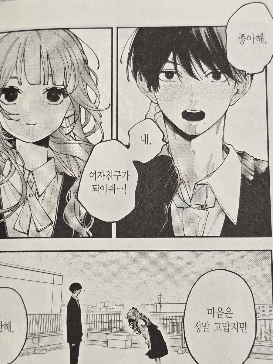 설탕감자 tweet media