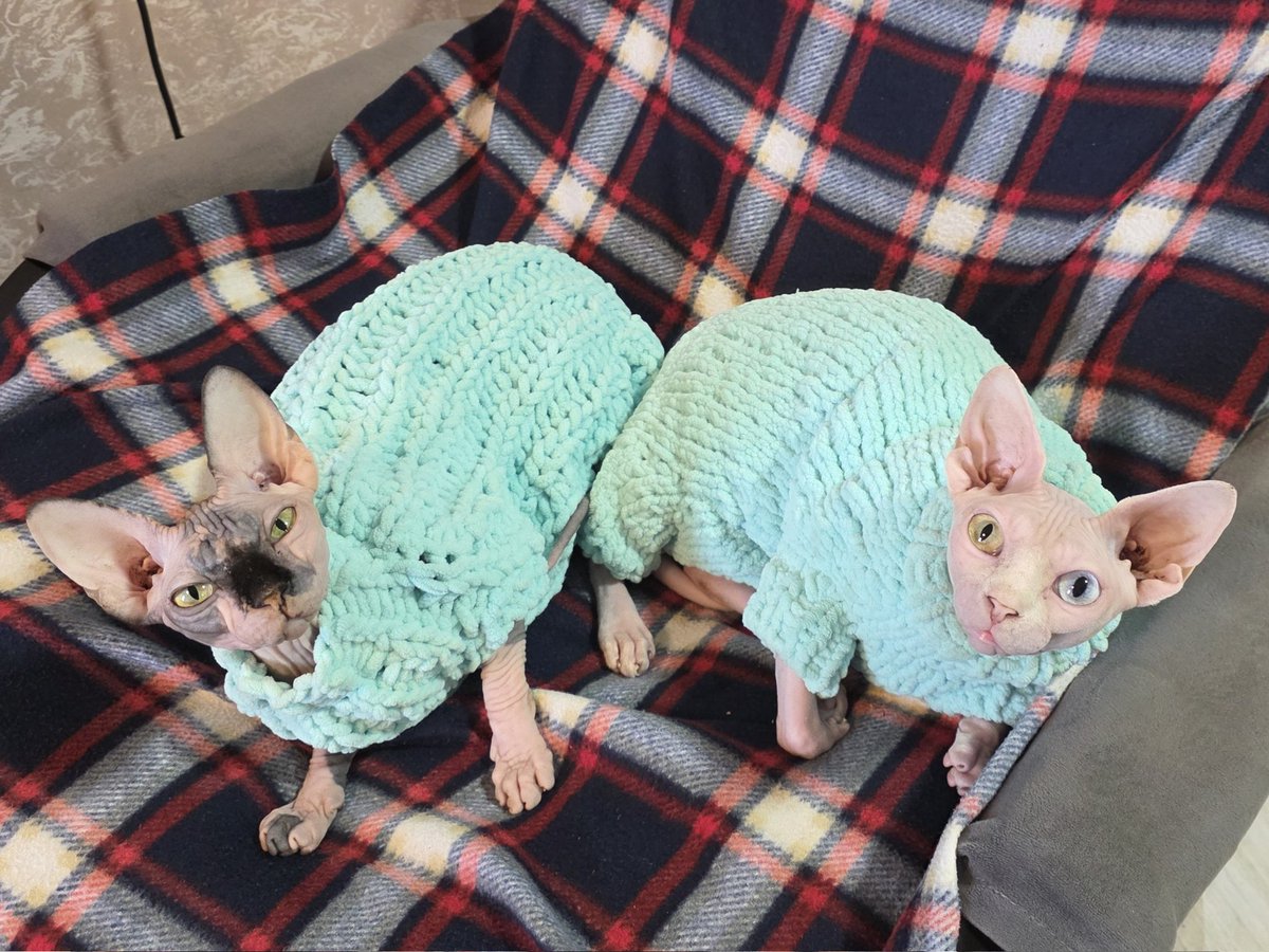 Связала курочкам комбезы из одинаковой пряжи))