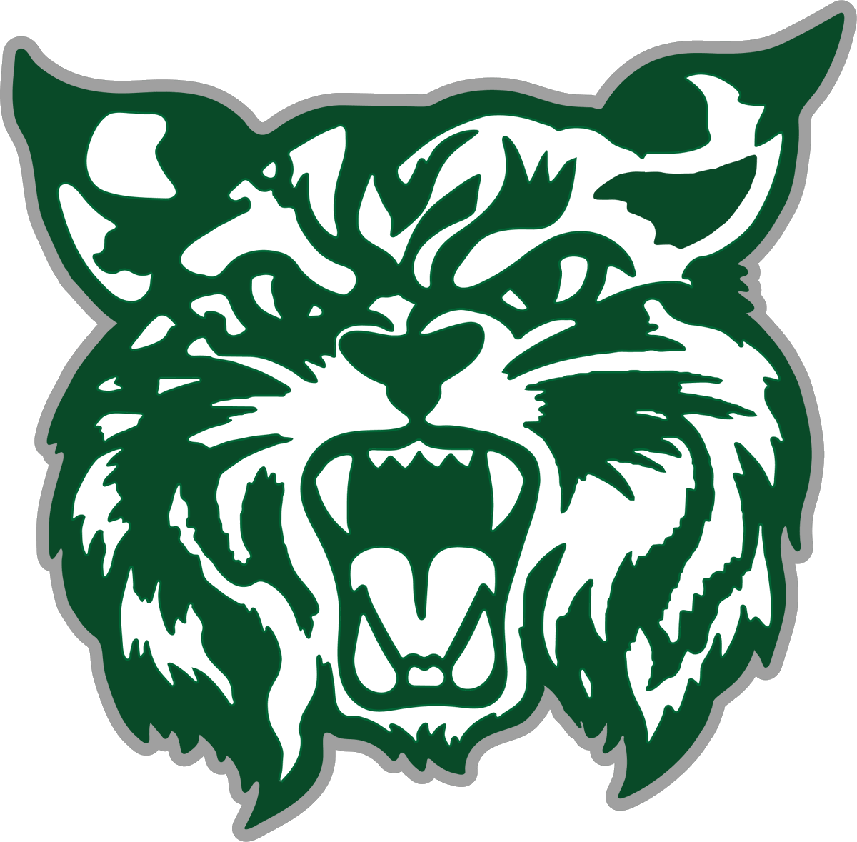 Next Saturday, Sept. 20th from 8am-3pm in front of Greenbrier Middle School, come out and let the Bobcats Basketball team wash your car.