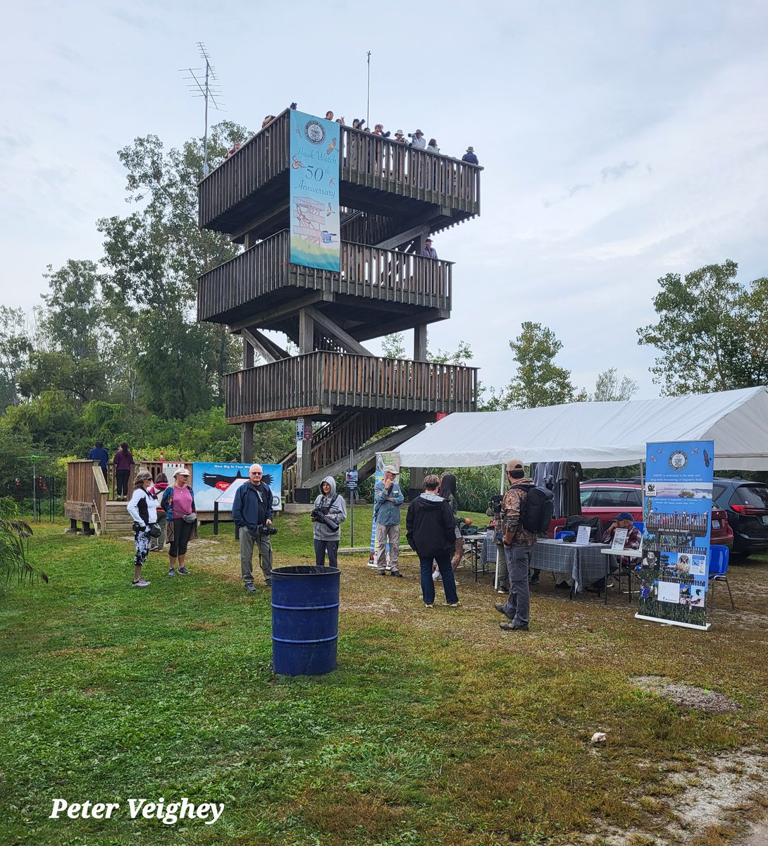 FESTIVAL OF HAWKS - SEE US ON THE TOWER!
<a href="/BirdsCanada/">Birds Canada</a> <a href="/NatureCanada/">Nature Canada</a> <a href="/HawkMigration/">Hawk Migration Association of North America</a> <a href="/TWEPI/">Tourism Windsor Essex</a> <a href="/ECFNC/">Essex County Nature</a> <a href="/RTT_Amherstburg/">River Town Times</a> <a href="/TheWindsorStar/">The Windsor Star</a> <a href="/CBCWindsor/">CBC Windsor</a> <a href="/windsoriteDOTca/">windsoriteDOTca News</a> <a href="/AudubonIBAs/">Important Bird Areas</a> <a href="/ofobirds/">OFO birds</a> <a href="/EyesOnWindsor/">Eric Bonnici</a> <a href="/AM800CKLW/">AM800 CKLW</a> <a href="/CTVWindsor/">CTV Windsor</a> <a href="/essexregionca/">EssexRegionConserve</a>