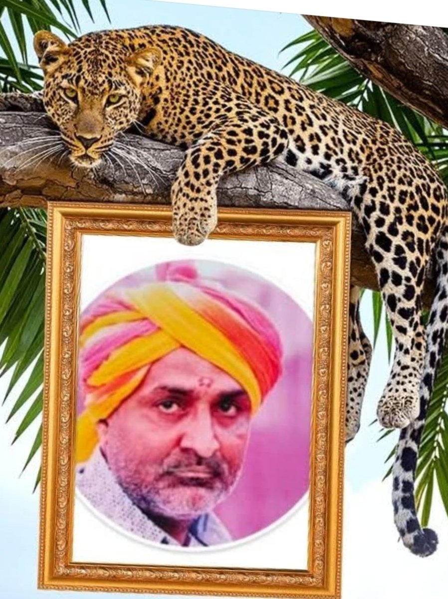 Rameshbhai_(काठी दरबार)(क्षत्रिय राजपूत)🇮🇳🌞🇮🇳 tweet media