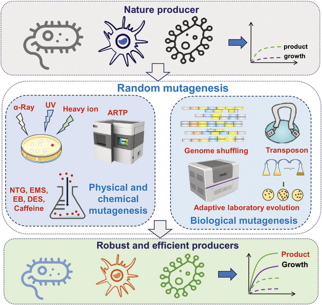 BioDesignR's tweet image. Microbial cell factories: Paving way for bioeconomy with AI-driven biotech! #Biomanufacturing #SyntheticBio
Details: doi.org/10.34133/bdr.0…