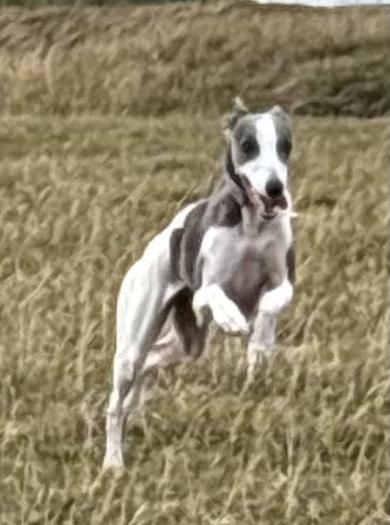 Miss Underscore tweet media