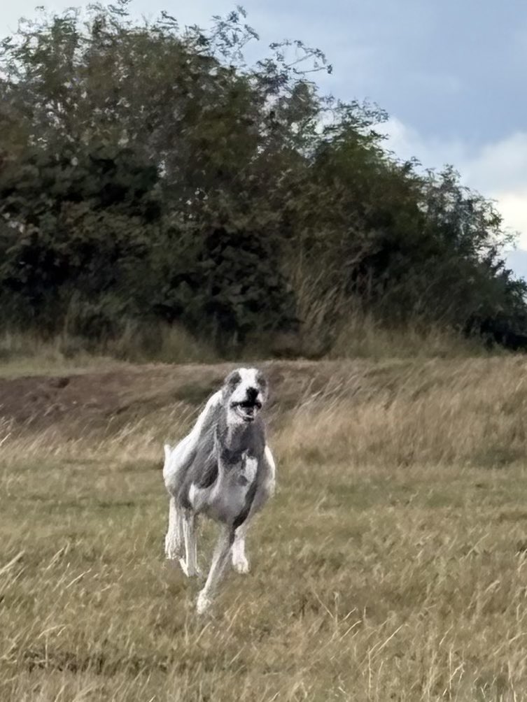 Miss Underscore tweet media