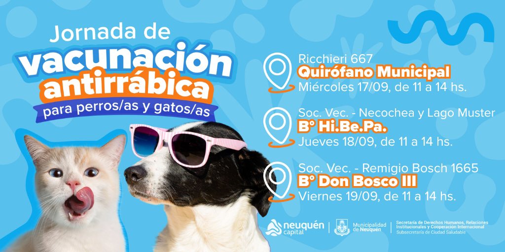 DDHH_RI_CI's tweet image. 💉 #VacunacionAntirrábica 🐶🐱
📍 Próximos dispositivos en la ciudad

✅ Sin turno – por orden de llegada
💊 Pastillas de #Desparasitación para ANH +4 meses
🗣 Info sobre #CuidadoResponsable y #DerechoAnimal #121Años  #LaCapitalQueMasCrece 
⬇️⬇️