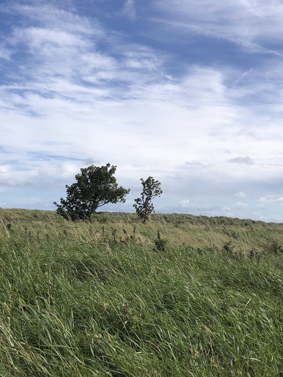 Alisone_Davies's tweet image. instagram.com/p/DOixrPPAiiw/…
🩵🧜🏻‍♀️⚓️ 𝕺𝖓𝖈𝖊 𝖀𝖕𝖔𝖓 𝖆 𝕯𝖗𝖊𝖆𝖒 🌊🐚🪼
#Laytown #AnInsee #Meath #Ireland #Irish #Love #Mermaid #Sea #IrishSea #Waves