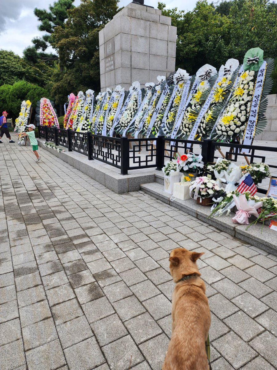 Dear American friends,
In my home country of South Korea, many people are mourning the passing of Charlie Kirk, who recently visited the MacArthur statue at Freedom Park in Incheon Metropolitan City, while attending the Build Up Korea event,
held just a week before his passing.