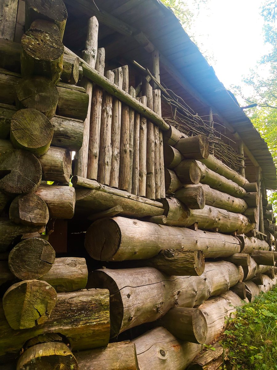 Lielvārdes senlatviešu koka pils sargs 🐈‍⬛