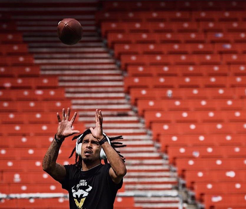 Vienna Vikings tweet media