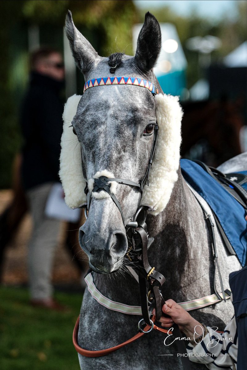 FALLEN ANGEL (Too Darn Hot X Agnes Stewart) wins the Coolmore Justify Matron Stakes G1 at Leopardstown under <a href="/the_doyler/">James Doyle</a> for trainer <a href="/karl_burke/">Karl Burke</a>