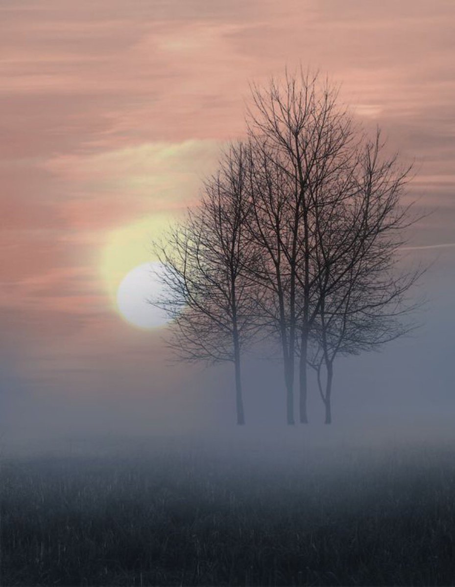 S_Galimberti (@s_galimberti) on Twitter photo 