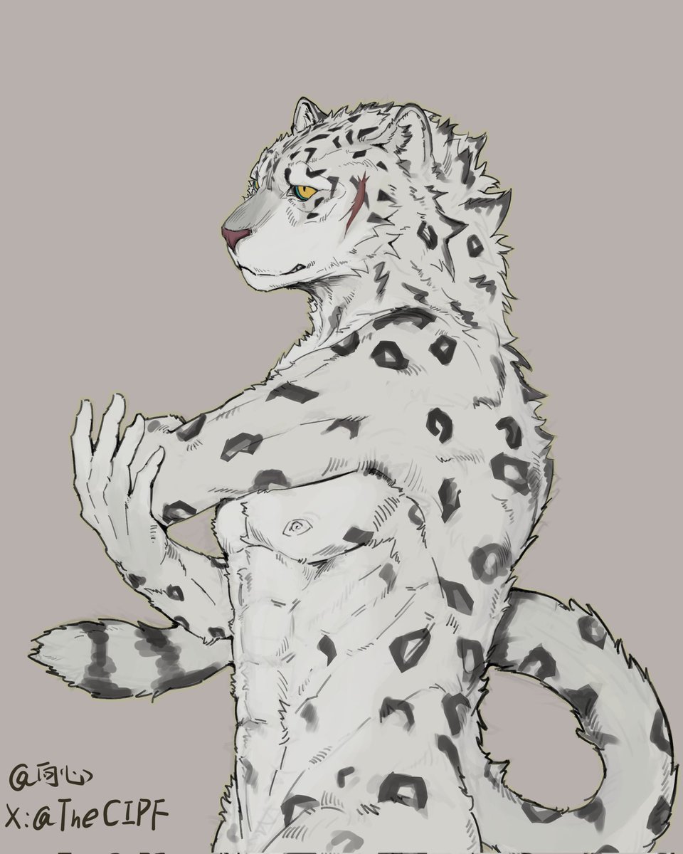 Snow Leopard Stretch
to@LeoAchilles_