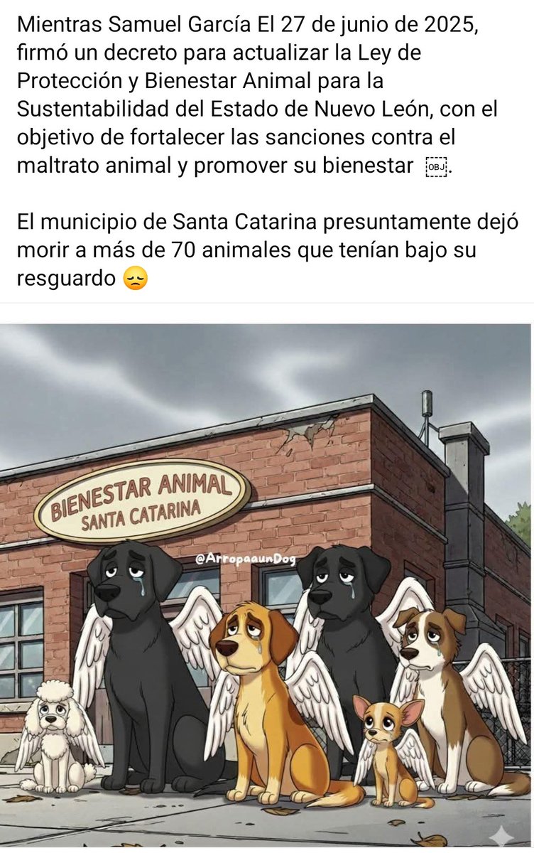 Abogado Animalista tweet media