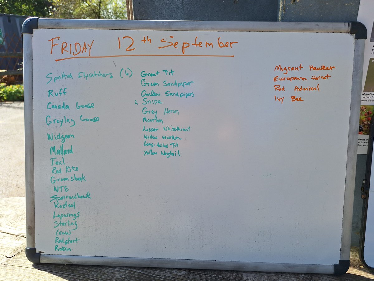 Lots of sunshine was enjoyed with a few epic rain showers today. However this did not stop the wildlife coming out to explore! Plenty to be seen on the reserve over the last few days- the highlight from today has to be the large flock of Goldfinch seen feeding.