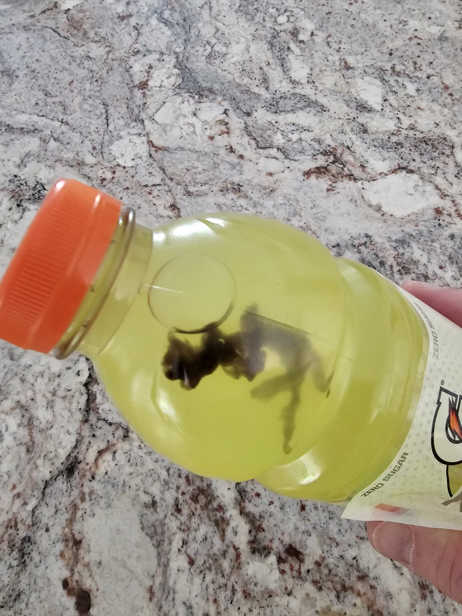 Scott Fish tweet media