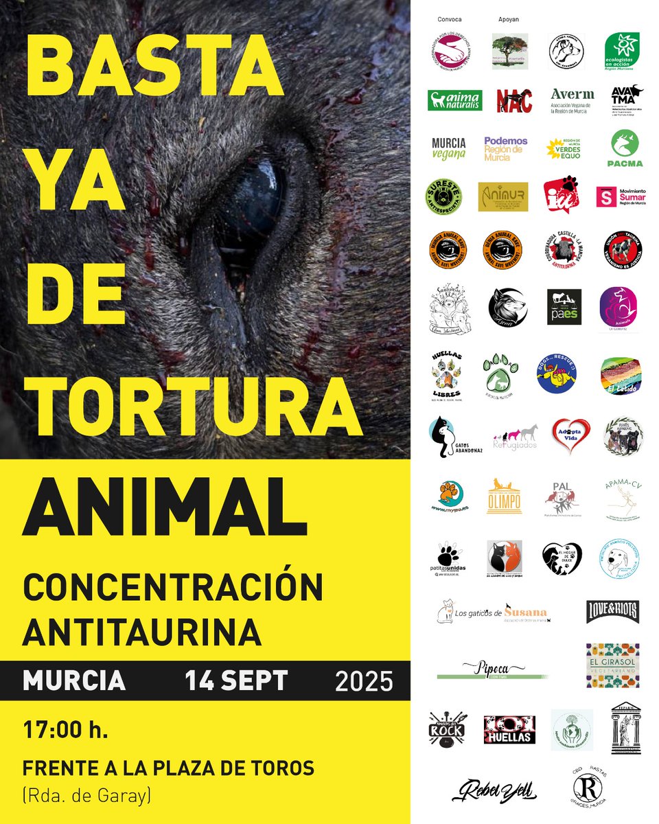 ‼️🐂 Mañana, 17h, concentración antitaurina en la Plaza de Toros de Murcia.

El PP regala +100.000€ a tauromaquia mientras recorta en becas y sanidad.

❌ La tortura no es cultura.

#MurciaLibreDeTortura #NoEsCultura