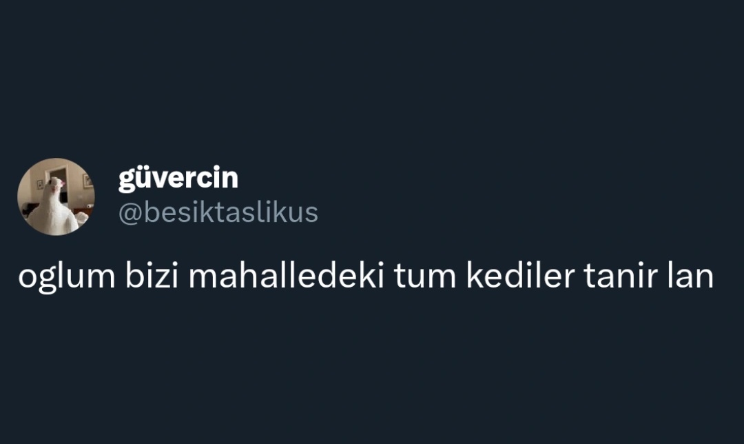 ANLIK (@anlikmod) on Twitter photo 