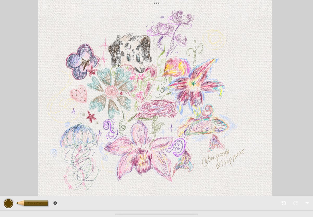 #25 ☪︎⋆ (@tulip25star) on Twitter photo 