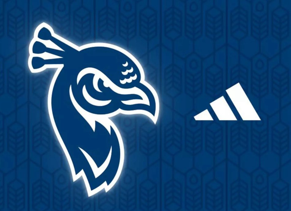 Super excited to announce I have accepted the RC/AC position <a href="/PeacocksBASE/">Saint Peter's Baseball</a>. Super pumped to be apart of <a href="/tj_ward3/">TJ Ward</a> coaching staff! Jersey City let’s get to work! #strutup 🦚 Can’t